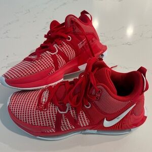 Nike Men’s Lebron Basketball Shoes